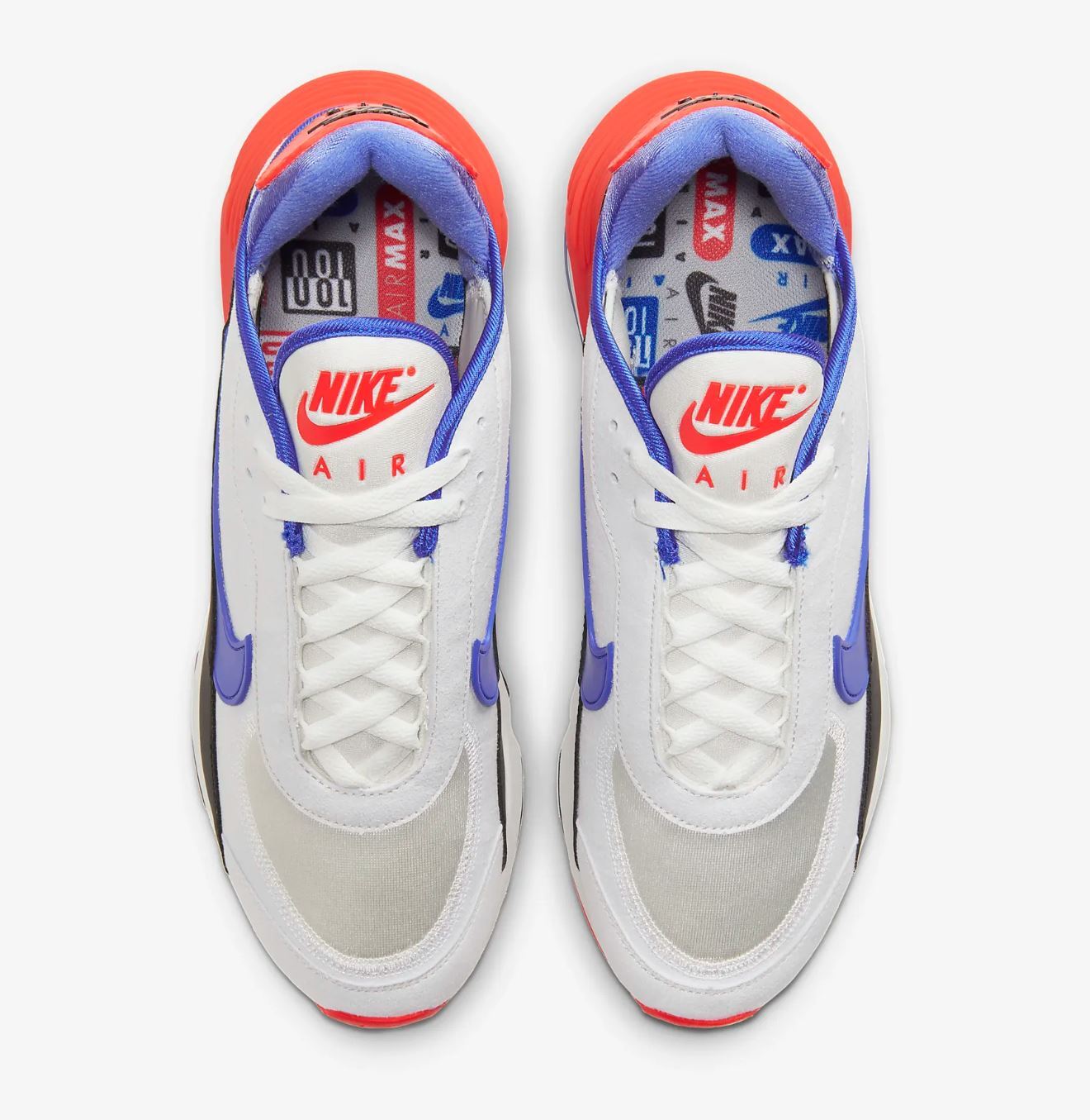 Nike AIR MAX 2090 EOI